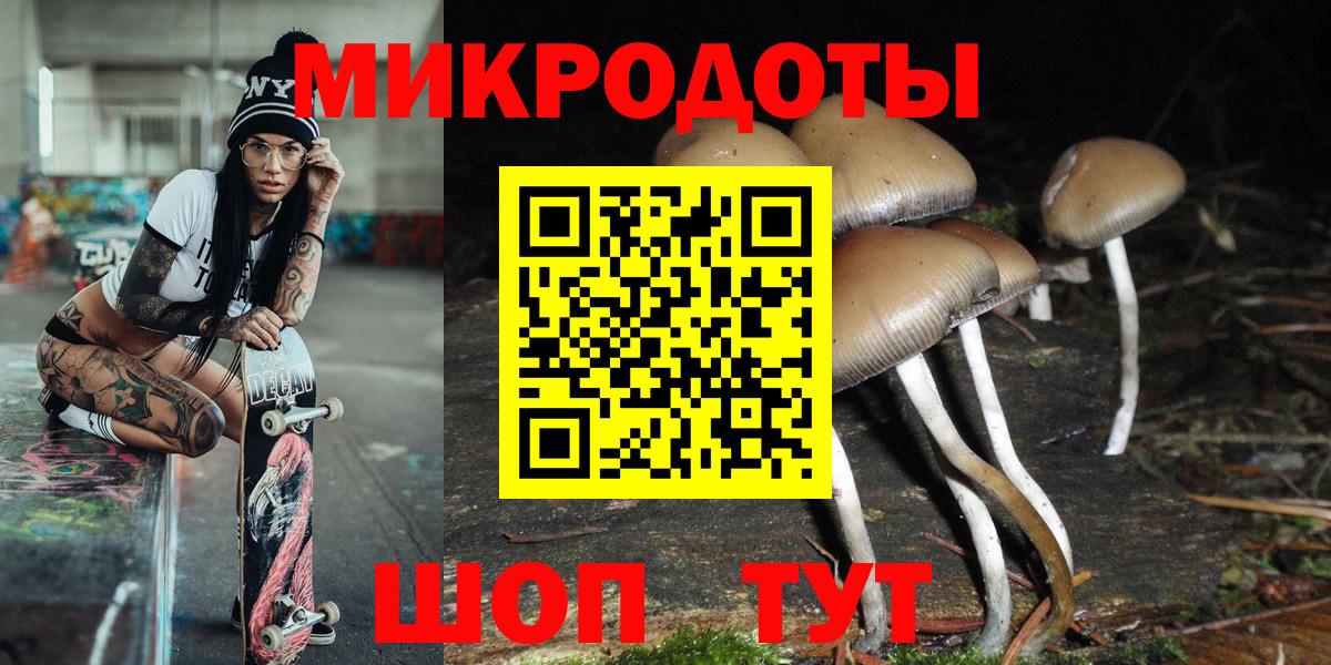 Галлюциногенные грибы GOLDEN TEACHER  Вход с VPN  Псилоцибиновые грибы прущие грибы  купить наркотики цена  Новоалександровск 
